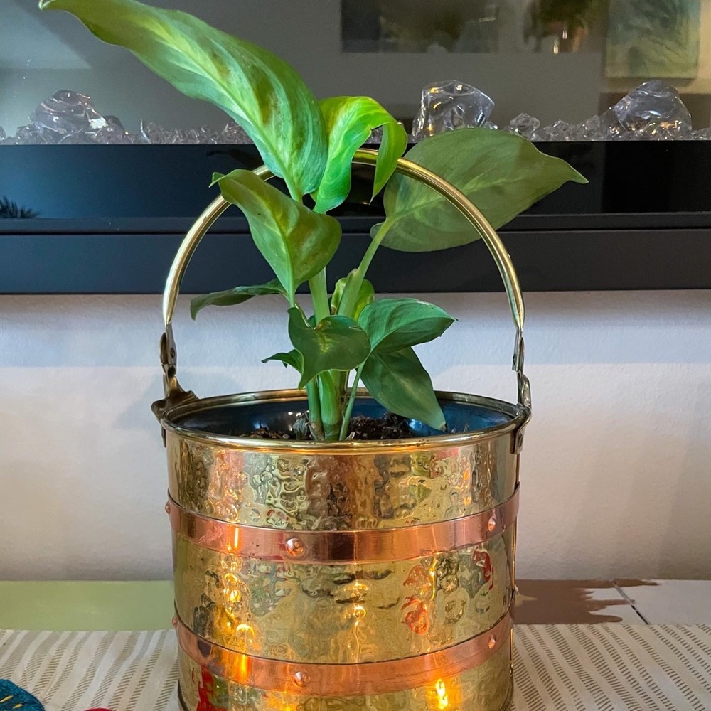 Vintage Brass and Copper Planter Pail